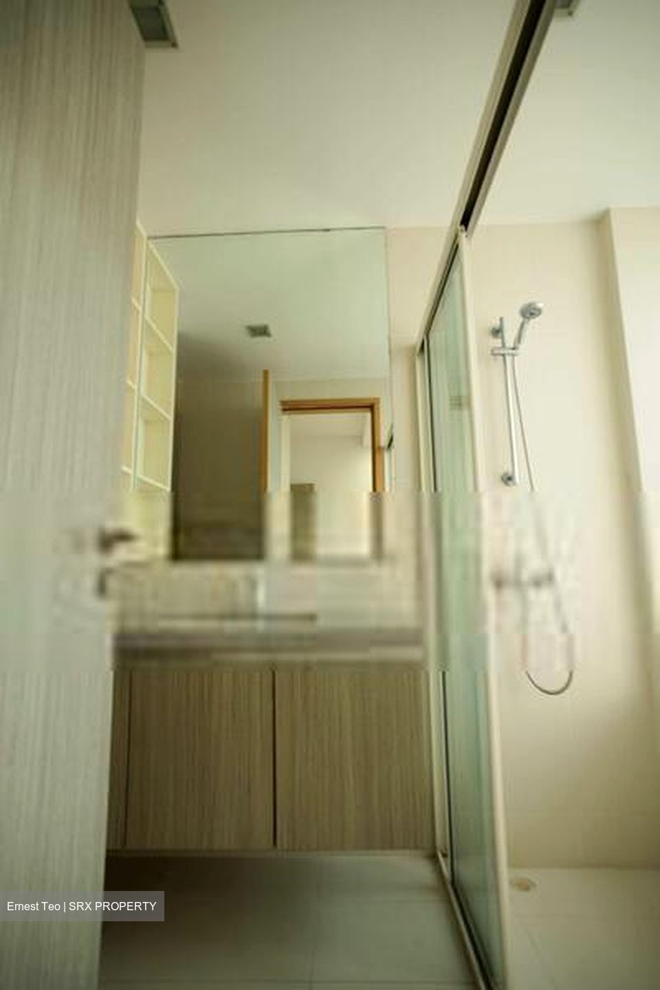 The Metropolitan Condominium (D3), Condominium #552472751